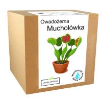 Owadożerna Muchołówka Zestaw do uprawy za 17,90 zł na Amazon.pl